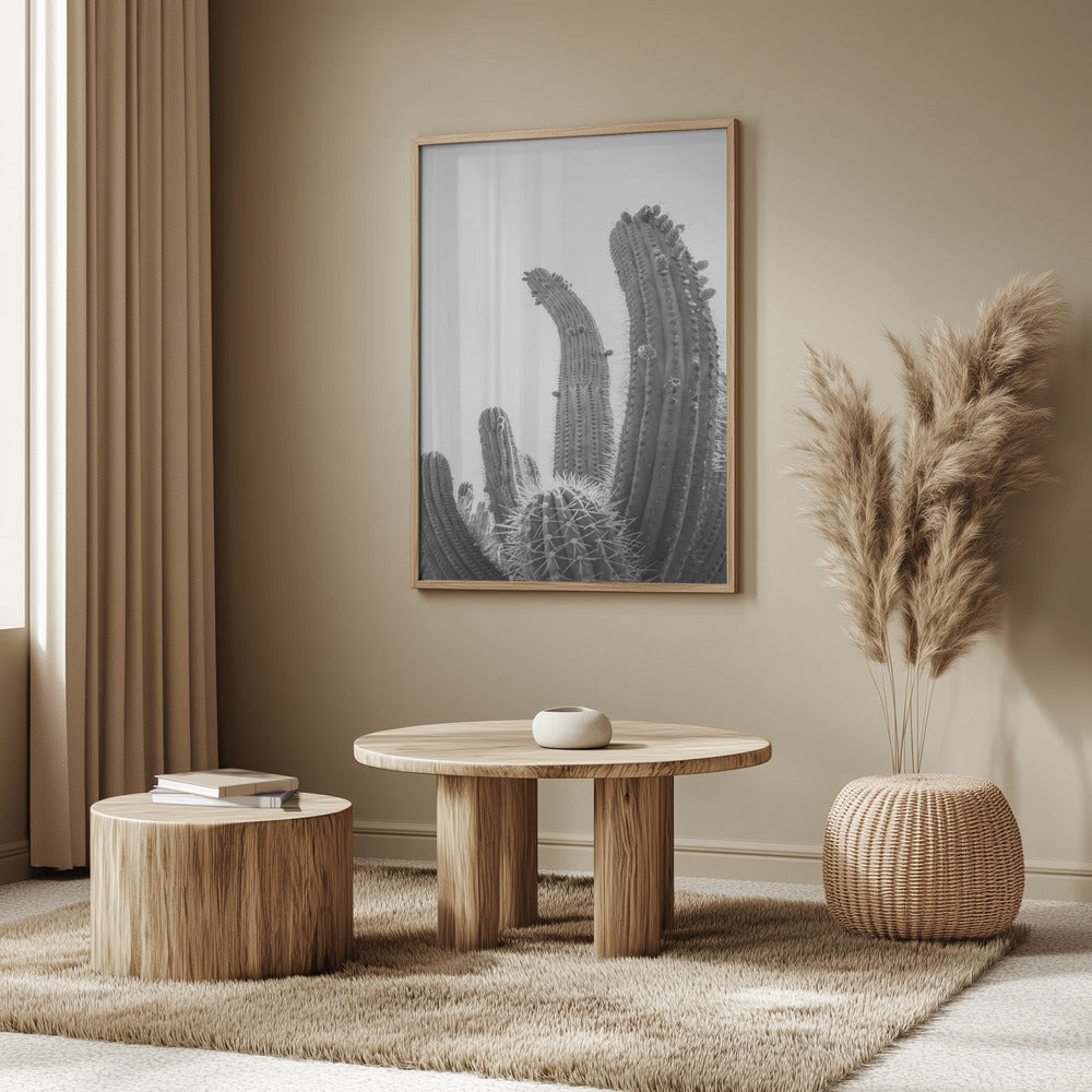 Cactus Poster